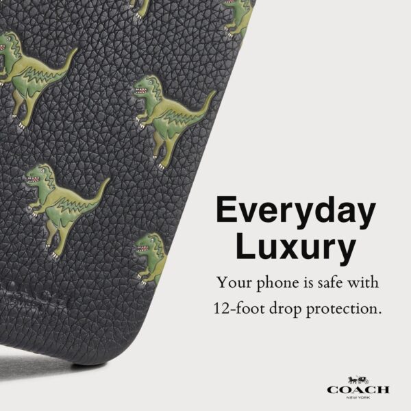 CH_Field_goal_Leather_Slim_Wrap_Case_Repeat_Rexy_CH054128_PDP4.jpg